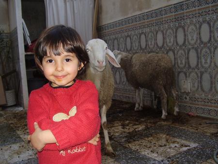 aide moubarek a tous les musulmans!